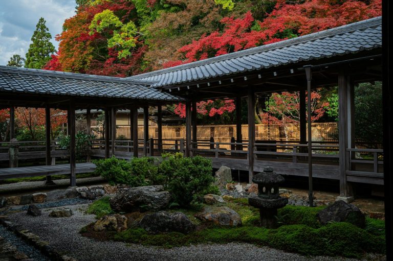 Pasarela de madera en un jardín japonés de Kioto con arces de colores otoñales