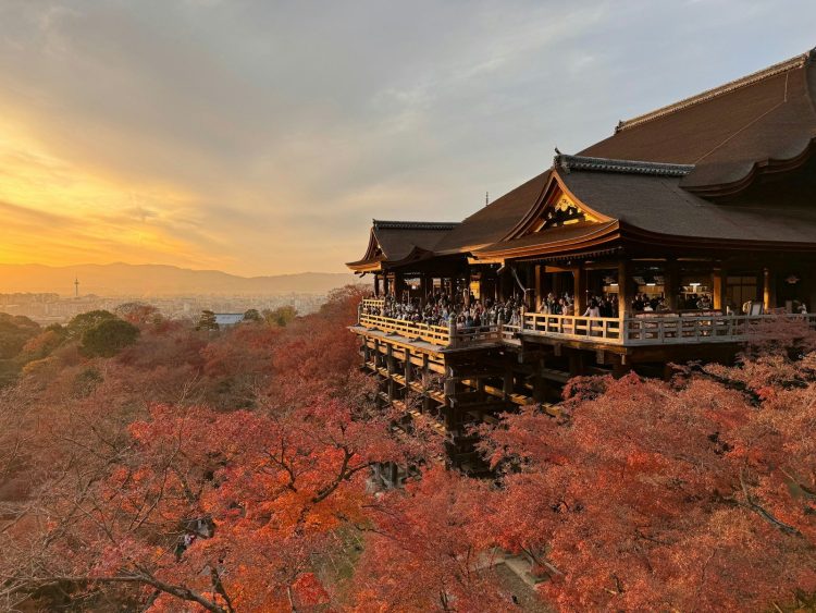 Templo Kiyomizu-dera de Kioto rodeado de arces rojos en otoño al atardecer
